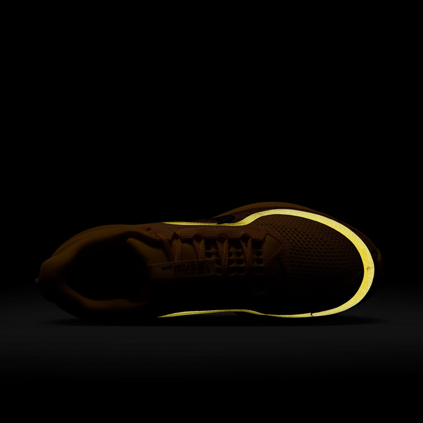 Nike Pegasus Premium LV8
