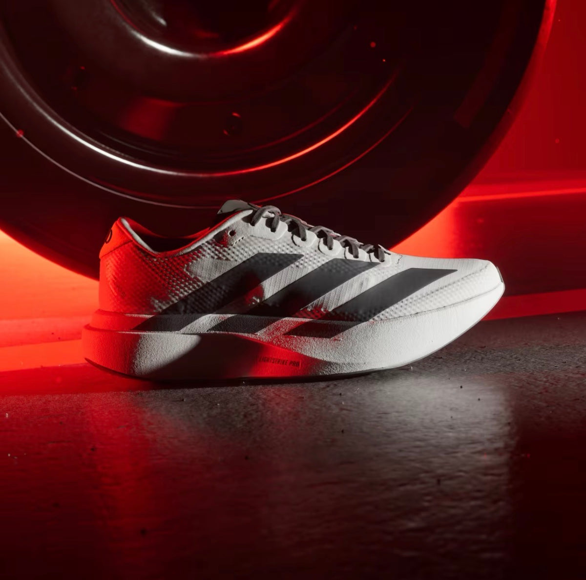 Adidas Adizero EVO SL - Audi Revolut F1 Team